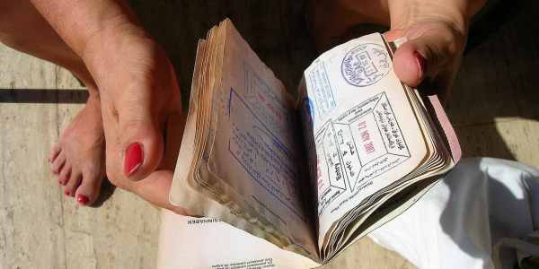 三分钟看懂!麻将144张程序控牌器,推荐4个购买渠道 三分钟看懂!麻将144张程序控牌器,推荐4个购买渠道