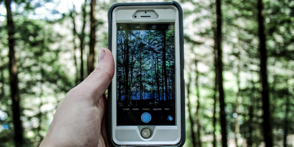 必备软件！智能麻将机智能胡牌神器”(2026新神器)