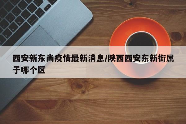 西安新东尚疫情最新消息/陕西西安东新街属于哪个区