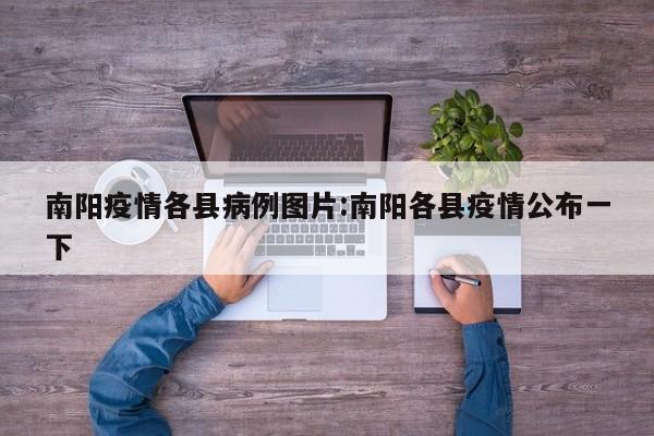 南阳疫情各县病例图片:南阳各县疫情公布一下